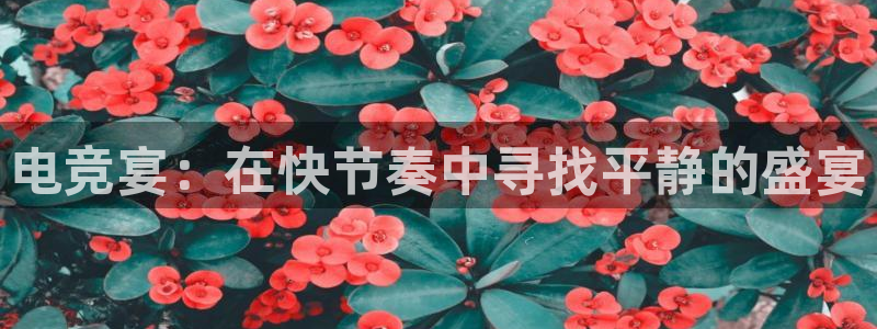 ky电竞