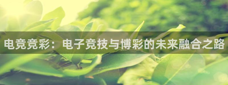 ky开元电竞