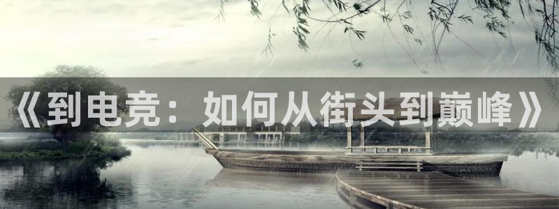 ky开元电竞：《到电竞：如何从街头到巅峰》